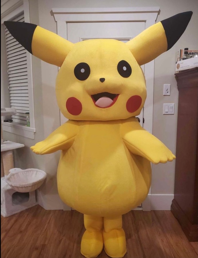 $60 Pokémon Pikachu