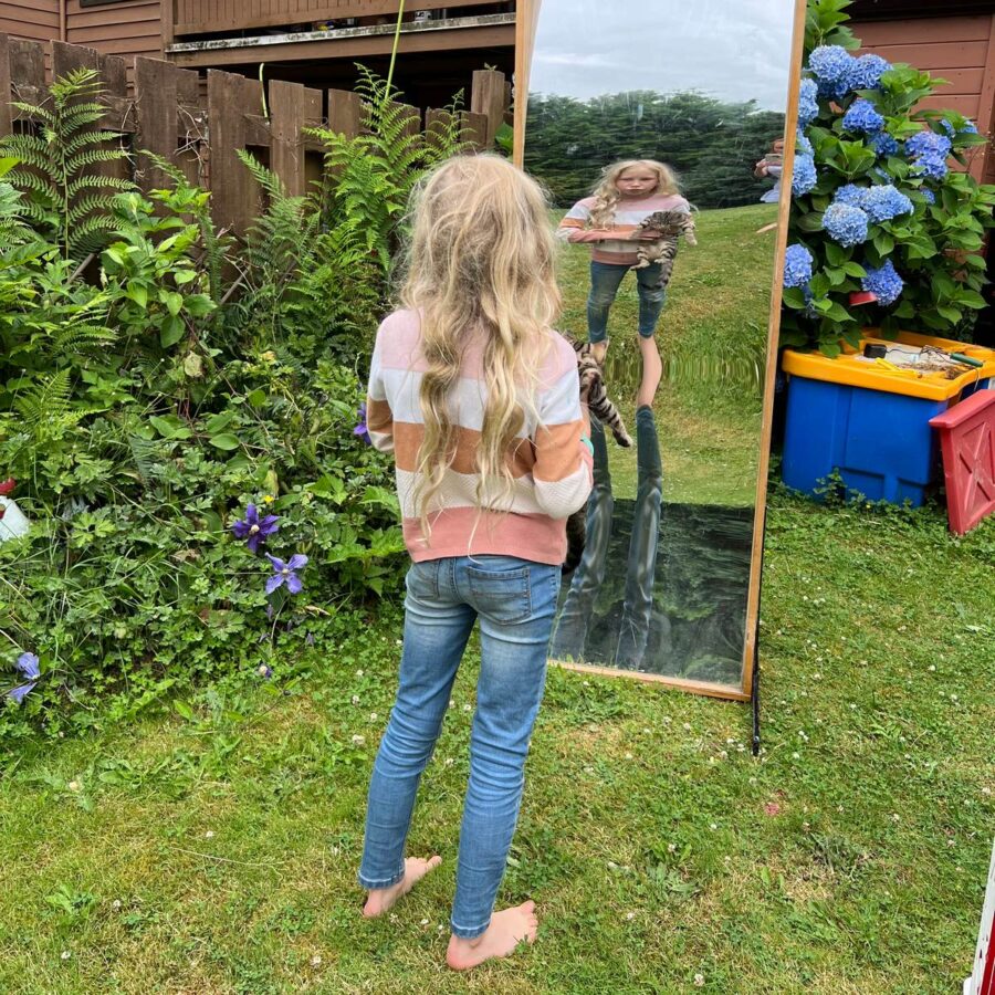 Wiggled Mirrors - Image 2