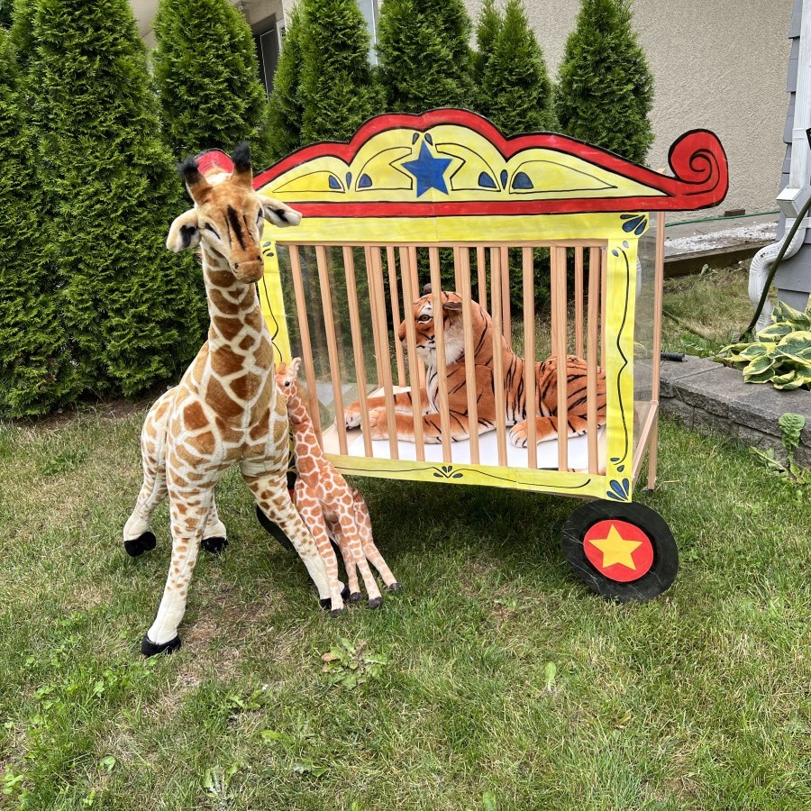Carinval cage with animals