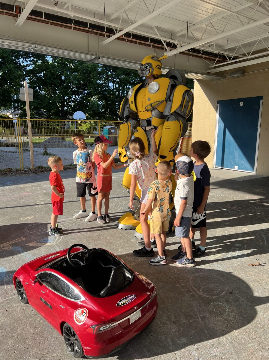 Cars Show - Image 16