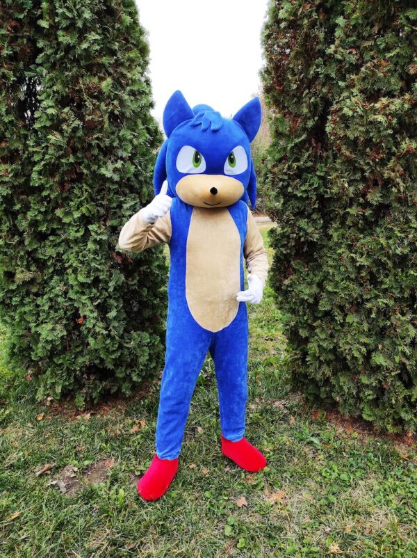Sonic mascot costume