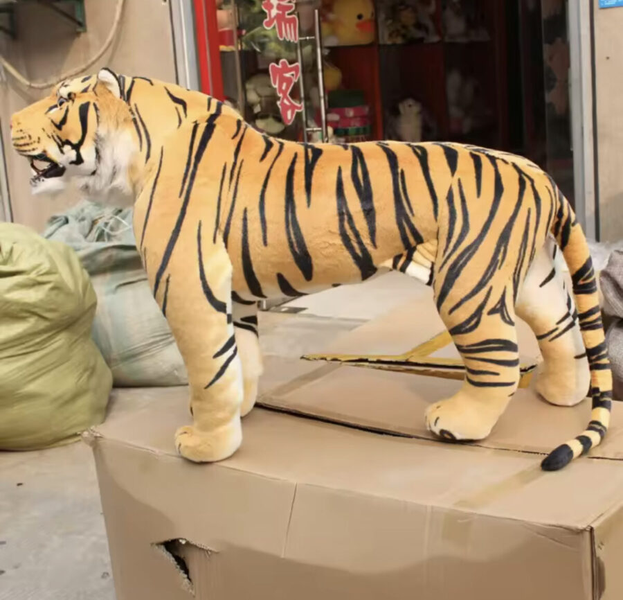 standing tiger
