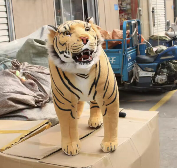 standing tiger