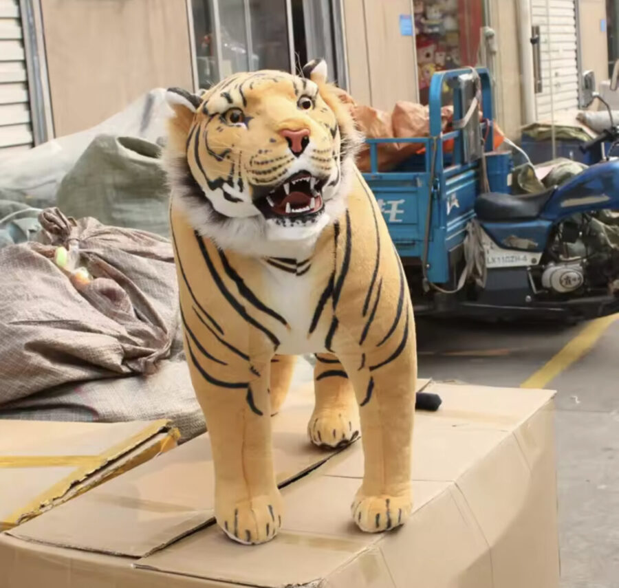 standing tiger