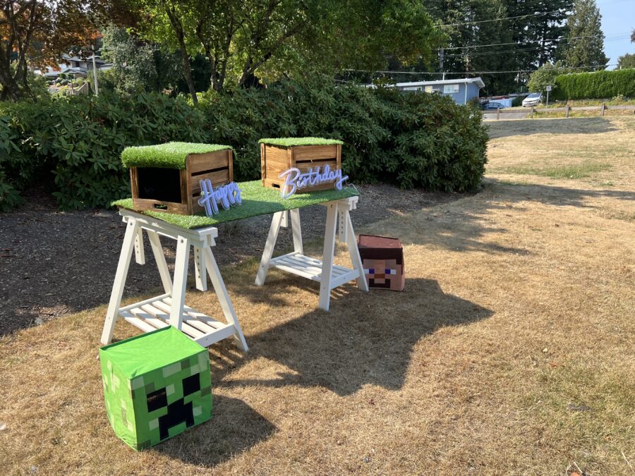 Minecraft setup - Image 2